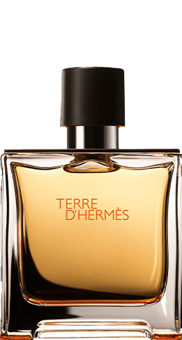 Terre D'hermes parfum