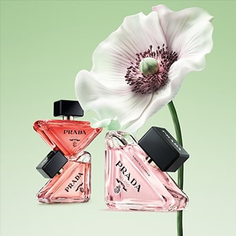 Prada Paradoxe Virtual Flower