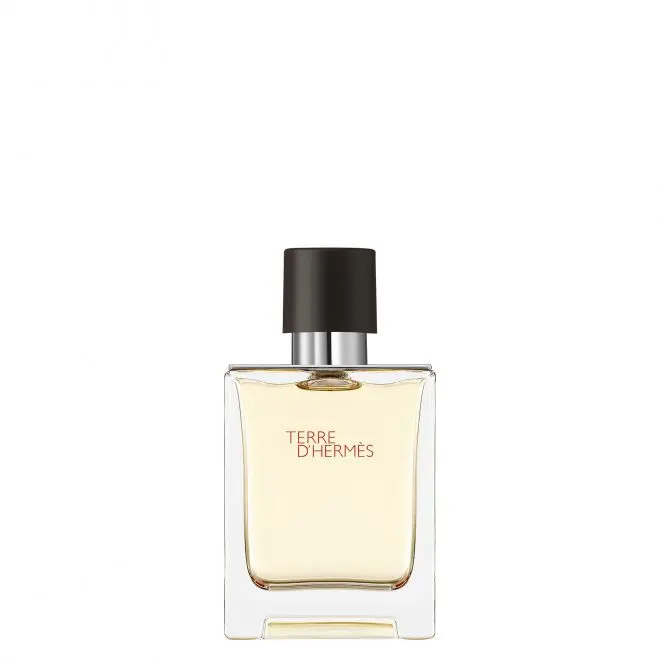 Hermes Terre d Hermes Eau de Toilette Eau de toilette Beauty Success